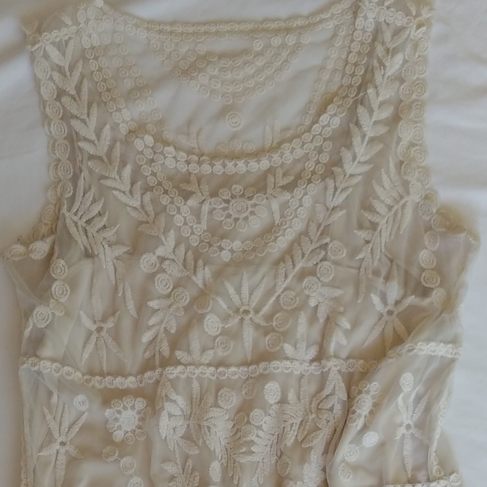 Express sheer lace embroidered dress with slip